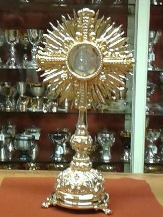 CUSTODIA 7289